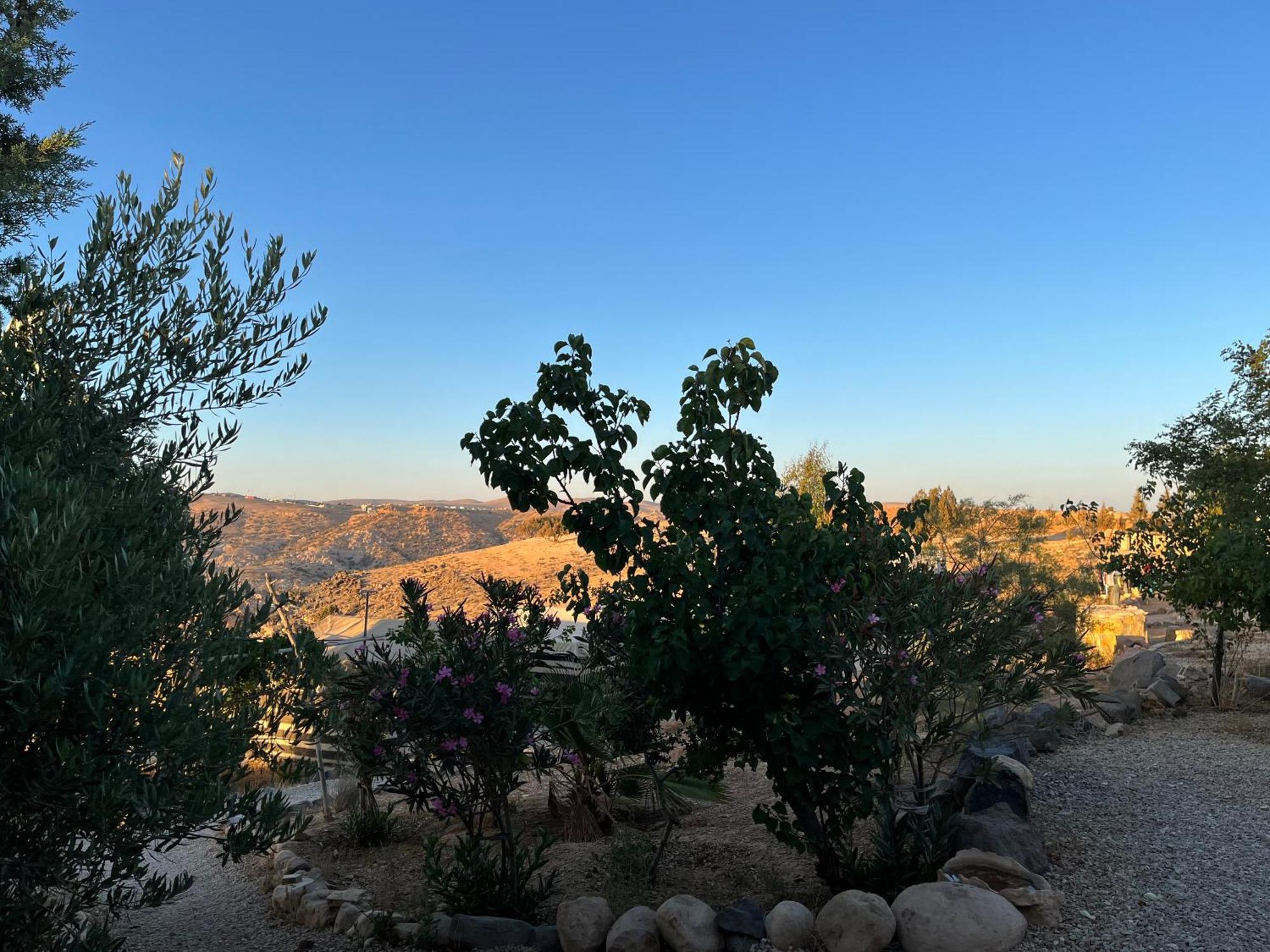 Al-Nawatef Eco Camp- Dana Nature Reserve מראה חיצוני תמונה